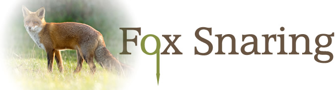 Fox Snaring UK